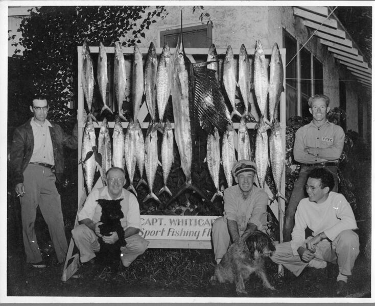 Click to See Next Image